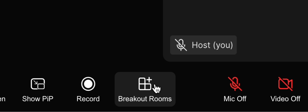 go to the breakout rooms button